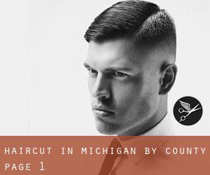 Haircut in Michigan by County - page 1