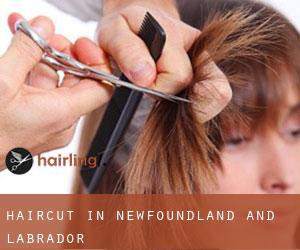 Haircut in Newfoundland and Labrador Haircut in Newfoundland and Labrador