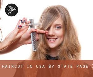Haircut in USA by State - page 1