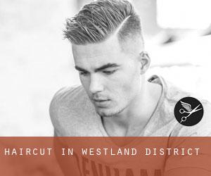 Haircut in Westland District