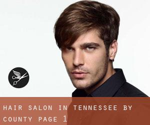 Hair Salon in Tennessee by County - page 1