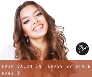 Hair Salon in Turkey by State - page 3