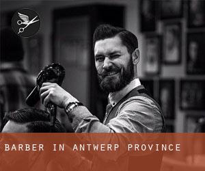 Barber in Antwerp Province