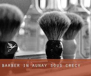 Barber in Aunay-sous-Crécy