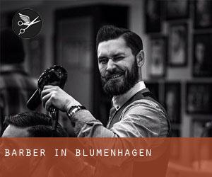 Barber in Blumenhagen