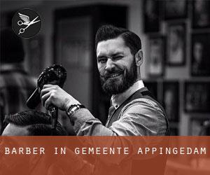 Barber in Gemeente Appingedam