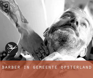 Barber in Gemeente Opsterland