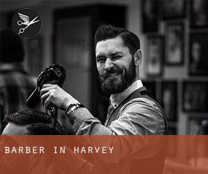 Barber in Harvey