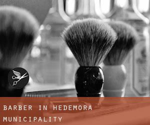 Barber in Hedemora Municipality