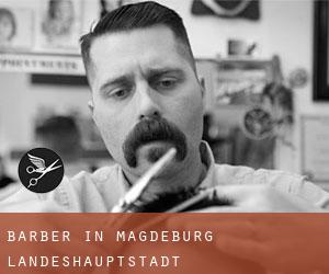 Barber in Magdeburg Landeshauptstadt