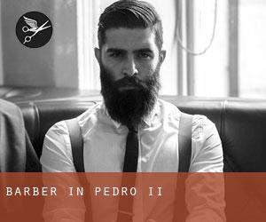Barber in Pedro II