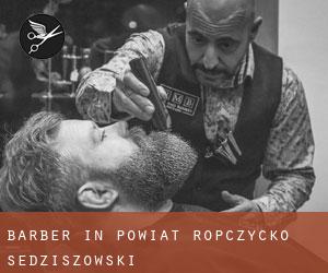 Barber in Powiat ropczycko-sędziszowski