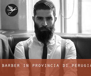 Barber in Provincia di Perugia