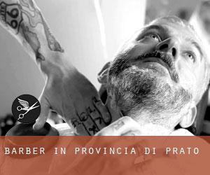 Barber in Provincia di Prato