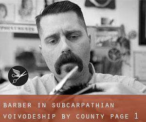 Barber in Subcarpathian Voivodeship by County - page 1