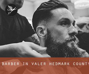 Barber in Våler (Hedmark county)