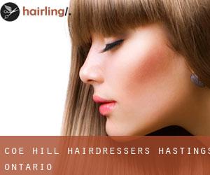 Coe Hill hairdressers (Hastings, Ontario)