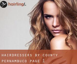 hairdressers by County (Pernambuco) - page 1