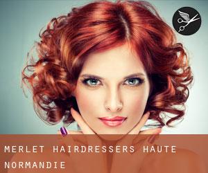 Merlet hairdressers (Haute-Normandie)